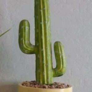 Southwest Cactus Decor